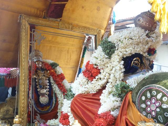 Mylapore SVDD Sri Srinivasa Perumal Temple Swami Desikani Uthsavam Day 7 Morning 01-10-2014  08