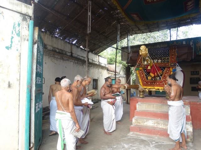 Mylapore SVDD Sri Srinivasa Perumal Temple Swami Desikani Uthsavam Day 7 Morning 01-10-2014  09