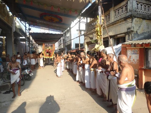 Mylapore SVDD Sri Srinivasa Perumal Temple Swami Desikani Uthsavam Day 7 Morning 01-10-2014  10