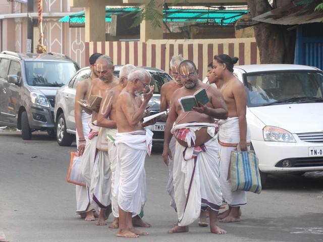 Mylapore SVDD Sri Srinivasa Perumal Temple Swami Desikani Uthsavam Day 7 Morning 01-10-2014  14
