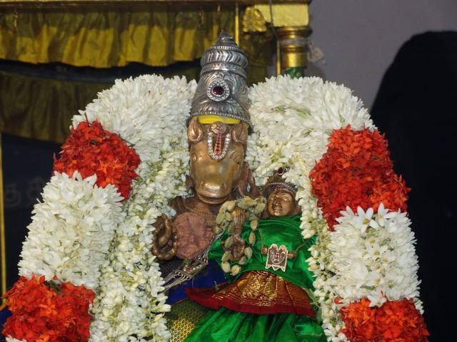 Mylapore SVDD Sri Srinivasa Perumal TempleNavarathri Uthsavam Day 7  01-10-2014  06