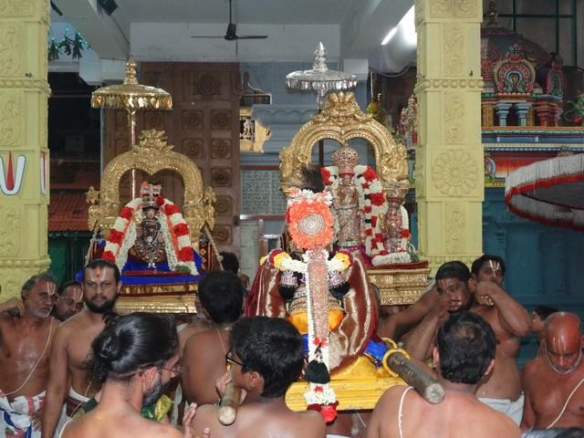 Mylapore SVDD Sri Srinivasa Perumal TempleNavarathri Uthsavam Day 7  01-10-2014  08