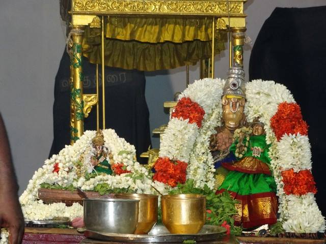 Mylapore SVDD Sri Srinivasa Perumal TempleNavarathri Uthsavam Day 7  01-10-2014  16