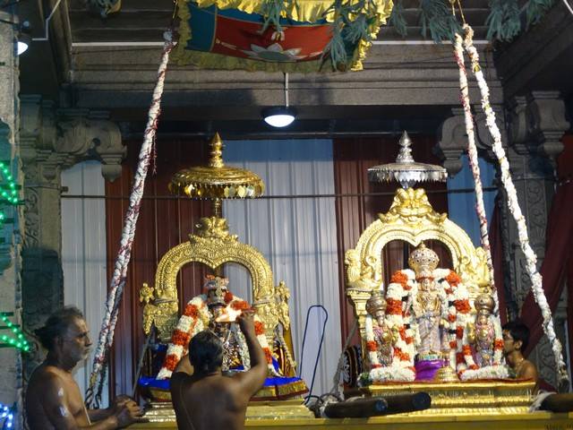 Mylapore SVDD Sri Srinivasa Perumal TempleNavarathri Uthsavam Day 7  01-10-2014  31