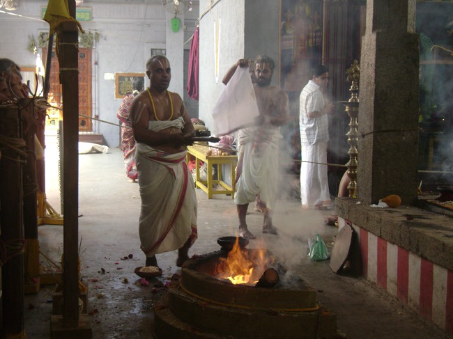 Mylapore SVDD Srinivasa Perumal Pavithrotsavam day 7 2014--02