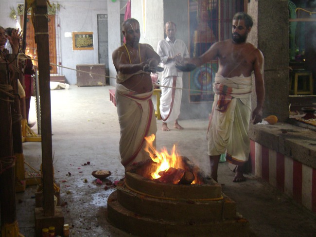 Mylapore SVDD Srinivasa Perumal Pavithrotsavam day 7 2014--03