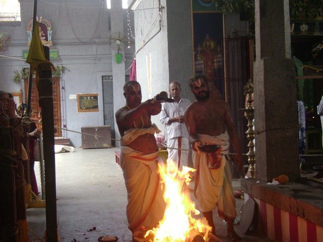 Mylapore SVDD Srinivasa Perumal Pavithrotsavam day 7 2014--05