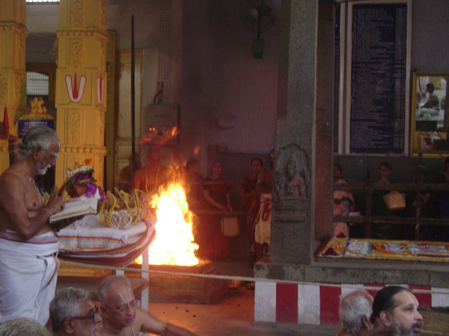 Mylapore SVDD Srinivasa Perumal Pavithrotsavam day 7 2014--12