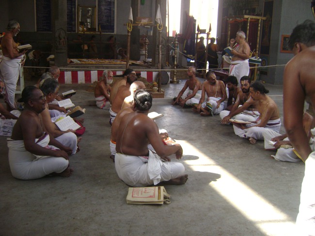 Mylapore SVDD Srinivasa Perumal Pavithrotsavam day 7 2014--14