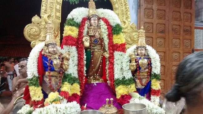 Mylapore SVDD Srinivasa Perumal Temple Ekadasi Purappadu10