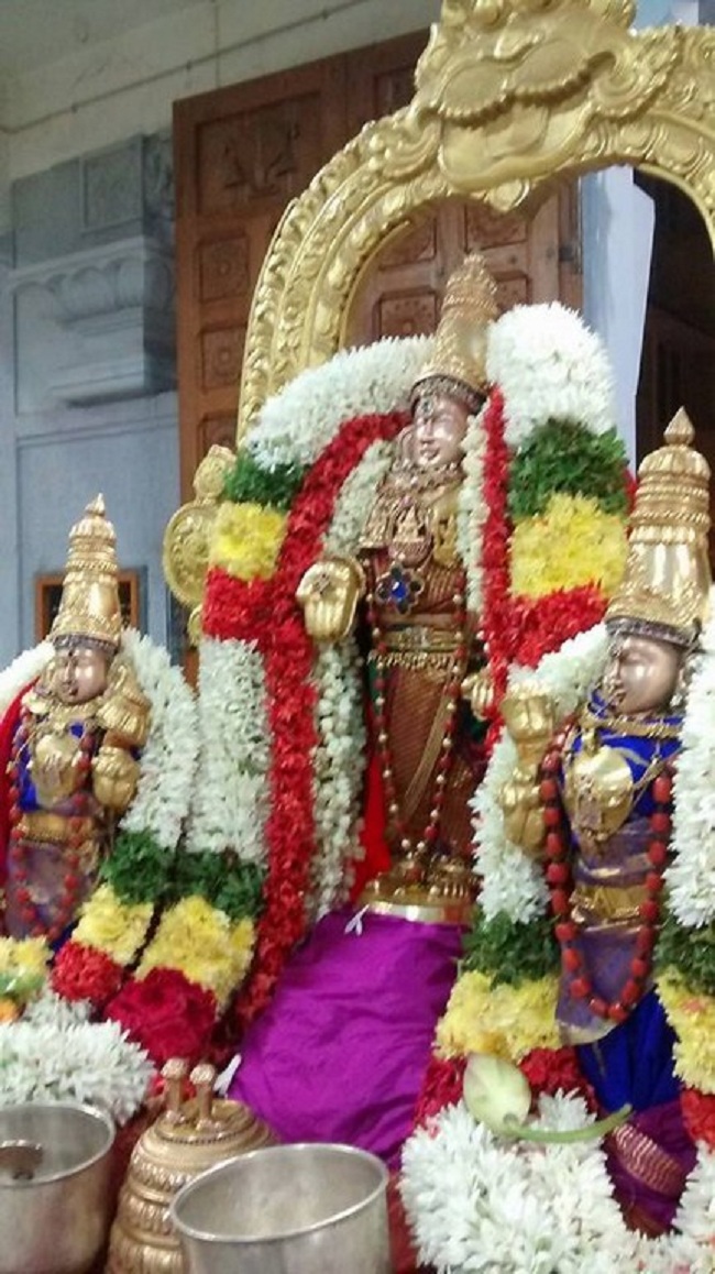Mylapore SVDD Srinivasa Perumal Temple Ekadasi Purappadu11