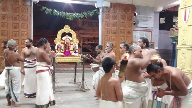 Mylapore SVDD Srinivasa Perumal Temple Ekadasi Purappadu5