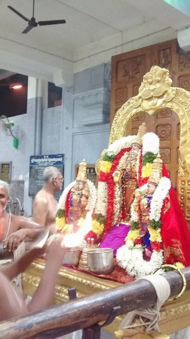 Mylapore SVDD Srinivasa Perumal Temple Ekadasi Purappadu9