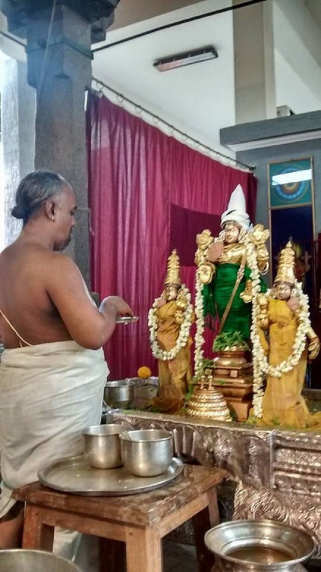 Mylapore SVDD Srinivasa Perumal Temple Iypasi Masa Ammavasai Purappadu14