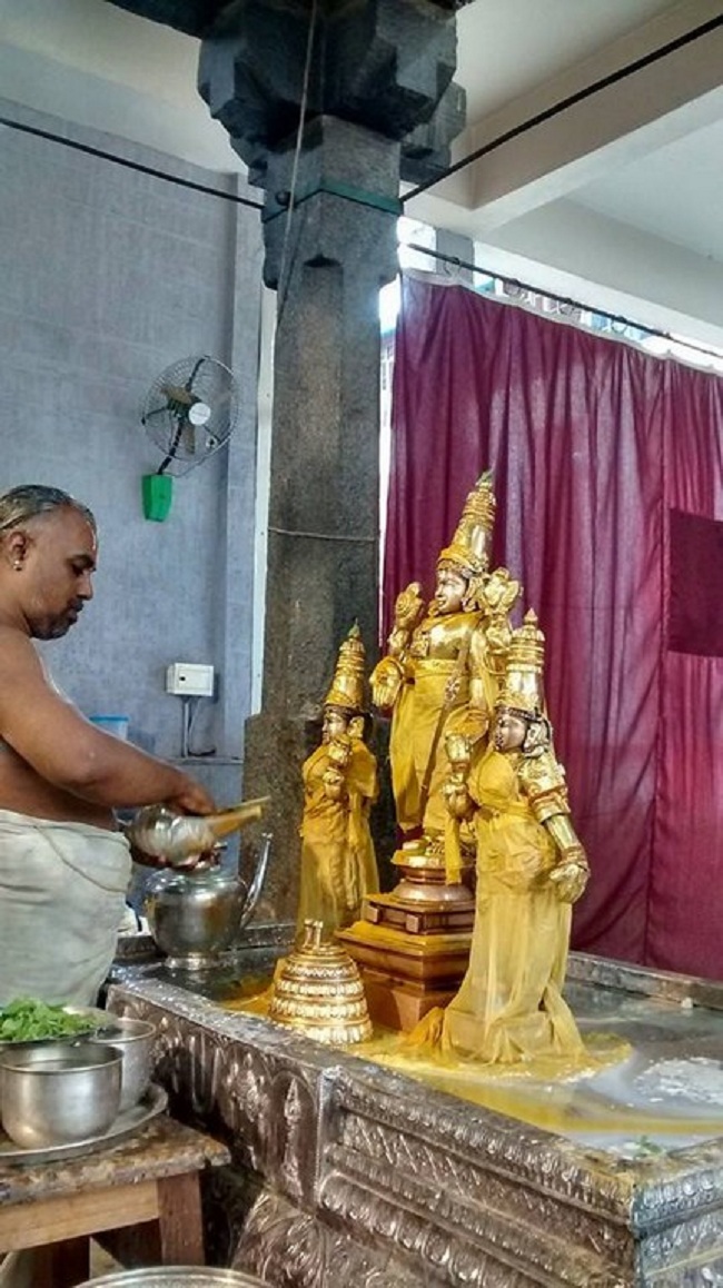 Mylapore SVDD Srinivasa Perumal Temple Iypasi Masa Ammavasai Purappadu15