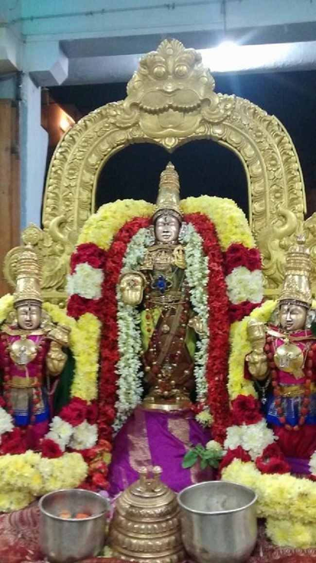 Mylapore SVDD Srinivasa Perumal Temple Iypasi Masa Ammavasai Purappadu16