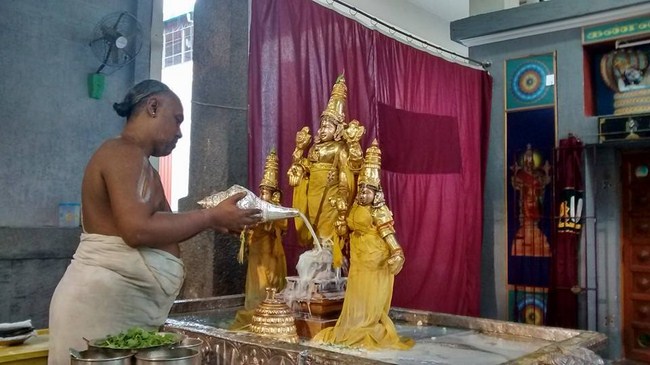 Mylapore SVDD Srinivasa Perumal Temple Iypasi Masa Ammavasai Purappadu17