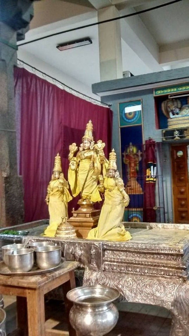 Mylapore SVDD Srinivasa Perumal Temple Iypasi Masa Ammavasai Purappadu18