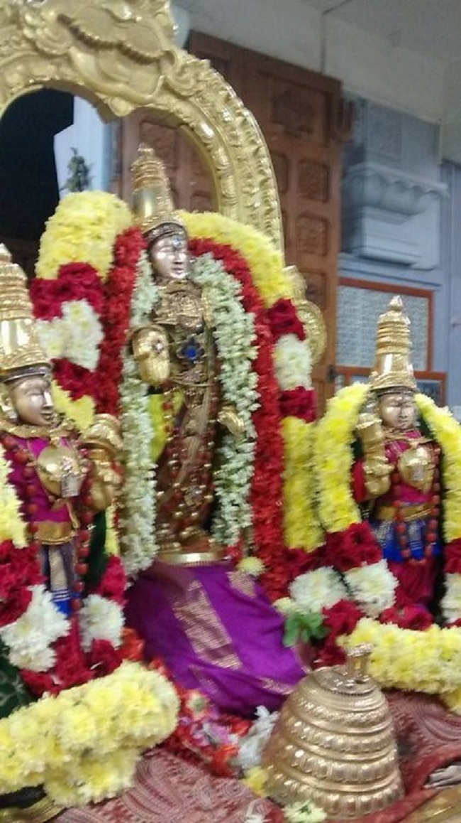 Mylapore SVDD Srinivasa Perumal Temple Iypasi Masa Ammavasai Purappadu2