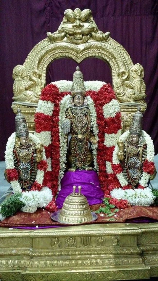 Mylapore SVDD Srinivasa Perumal Temple Iypasi Masa Ammavasai Purappadu20