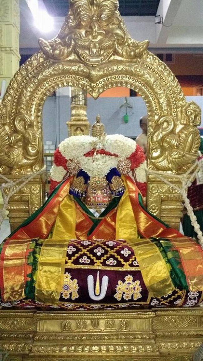 Mylapore SVDD Srinivasa Perumal Temple Iypasi Masa Ammavasai Purappadu23