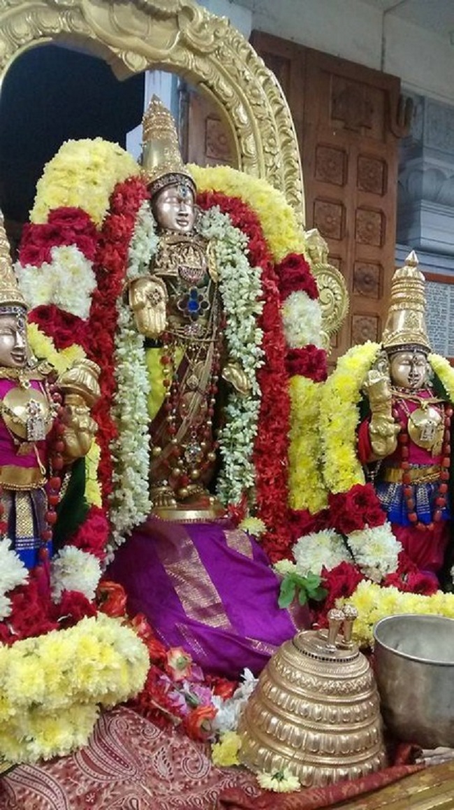 Mylapore SVDD Srinivasa Perumal Temple Iypasi Masa Ammavasai Purappadu25