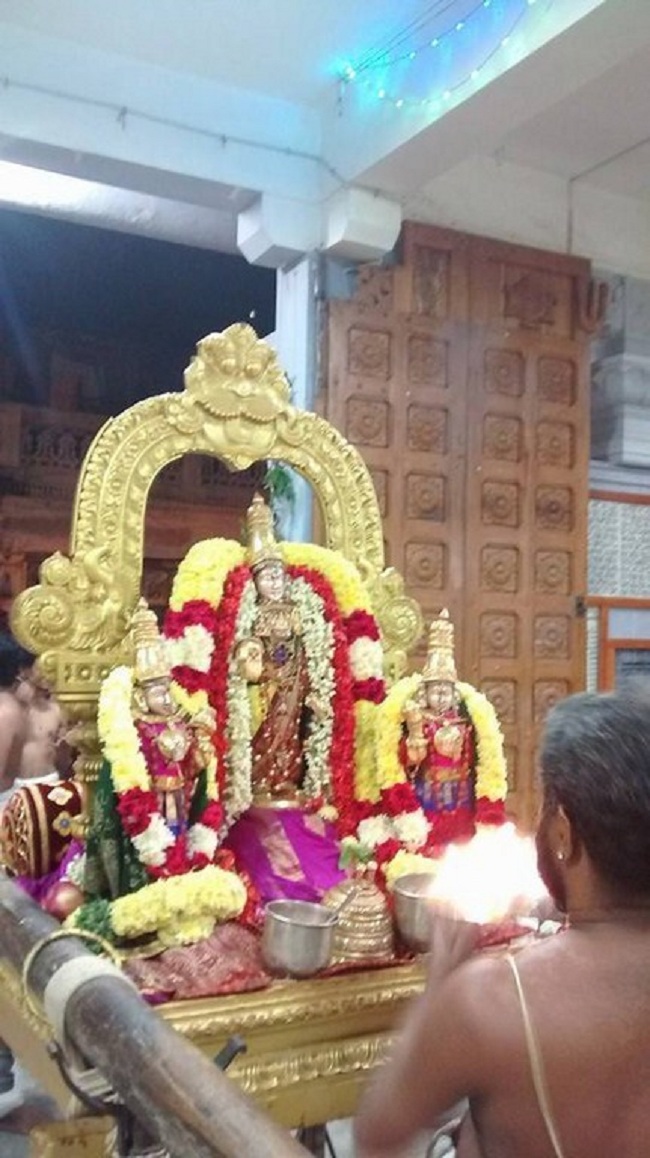 Mylapore SVDD Srinivasa Perumal Temple Iypasi Masa Ammavasai Purappadu3