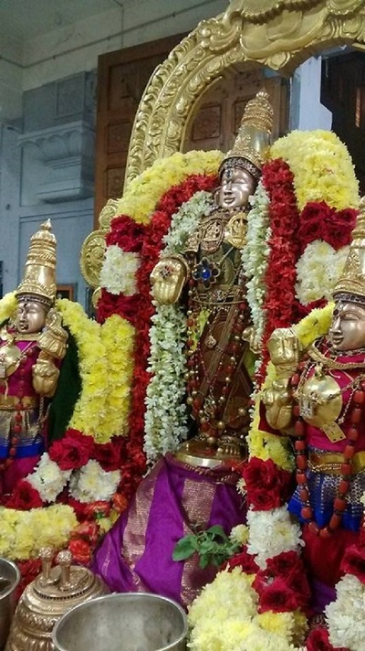 Mylapore SVDD Srinivasa Perumal Temple Iypasi Masa Ammavasai Purappadu4