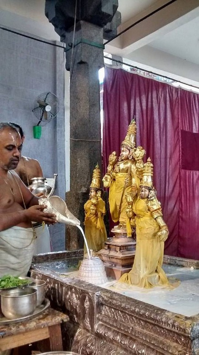Mylapore SVDD Srinivasa Perumal Temple Iypasi Masa Ammavasai Purappadu5
