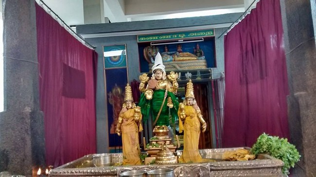 Mylapore SVDD Srinivasa Perumal Temple Iypasi Masa Ammavasai Purappadu6