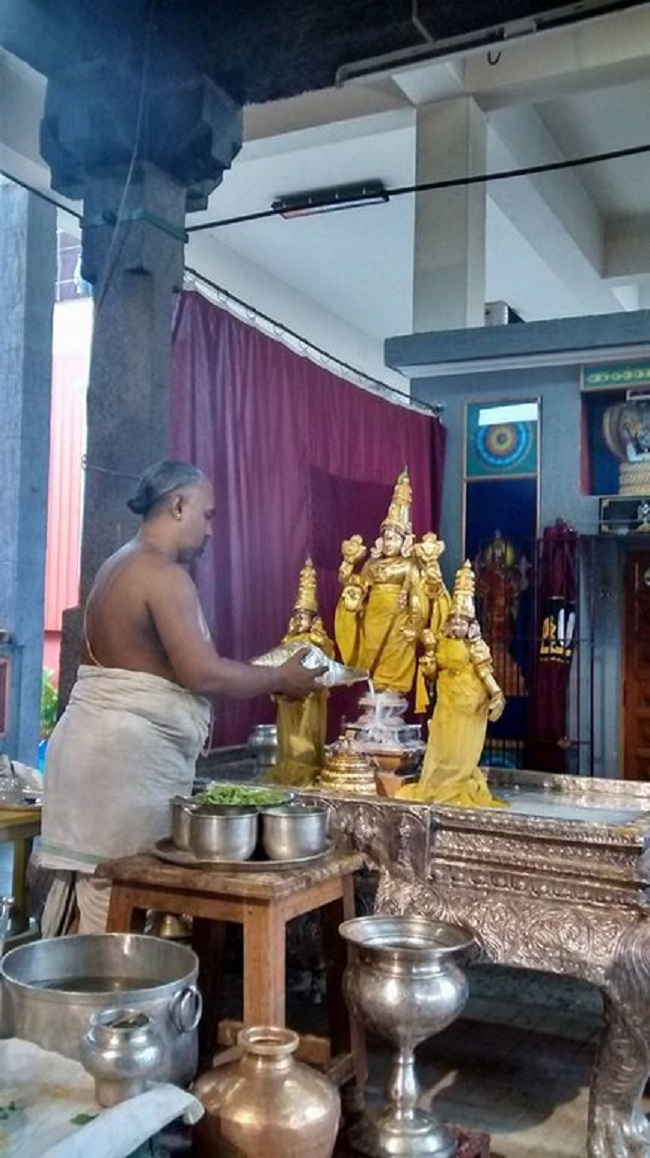 Mylapore SVDD Srinivasa Perumal Temple Iypasi Masa Ammavasai Purappadu8