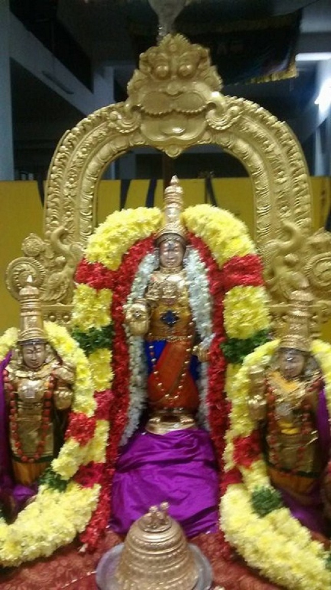 Mylapore SVDD Srinivasa Perumal Temple Iypasi Masa Pirappu Purappadu10