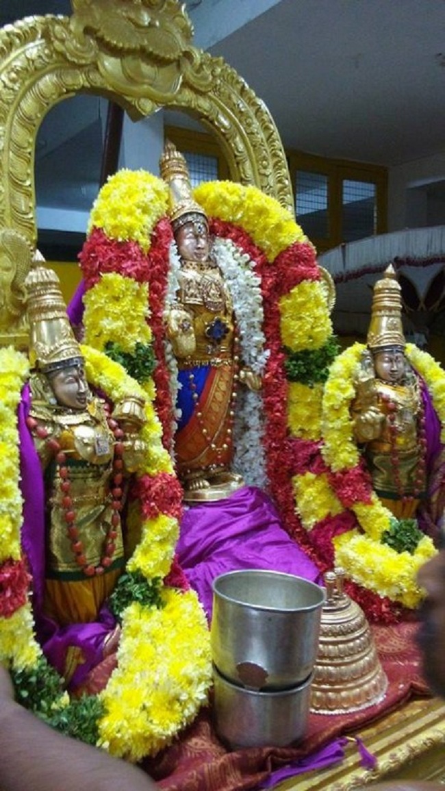 Mylapore SVDD Srinivasa Perumal Temple Iypasi Masa Pirappu Purappadu11