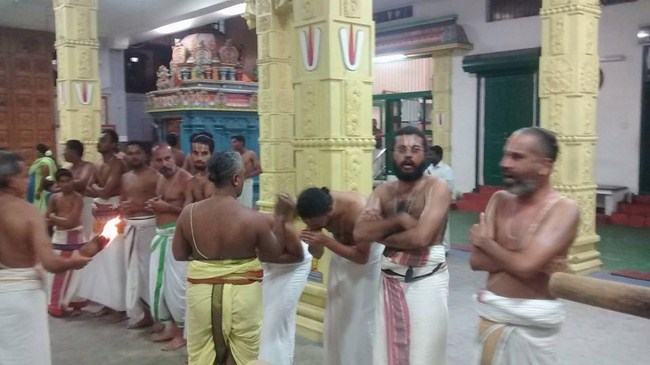 Mylapore SVDD Srinivasa Perumal Temple Iypasi Masa Pirappu Purappadu2