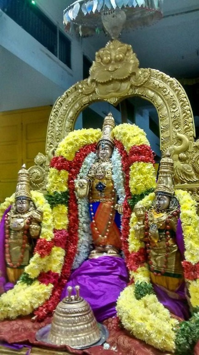 Mylapore SVDD Srinivasa Perumal Temple Iypasi Masa Pirappu Purappadu4