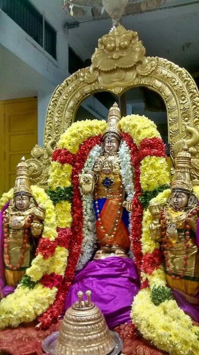 Mylapore SVDD Srinivasa Perumal Temple Iypasi Masa Pirappu Purappadu5