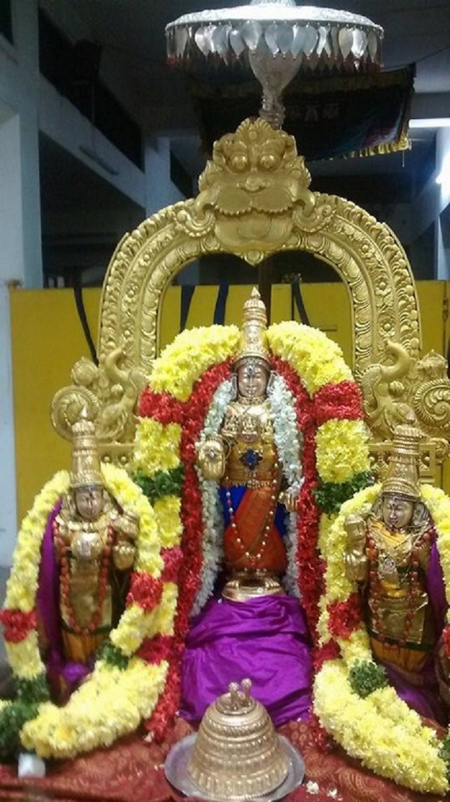 Mylapore SVDD Srinivasa Perumal Temple Iypasi Masa Pirappu Purappadu6