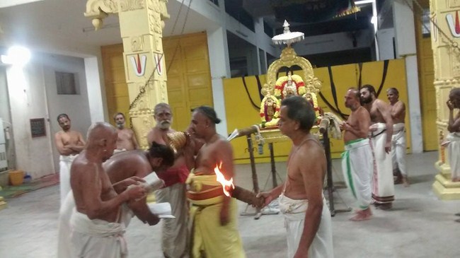 Mylapore SVDD Srinivasa Perumal Temple Iypasi Masa Pirappu Purappadu7
