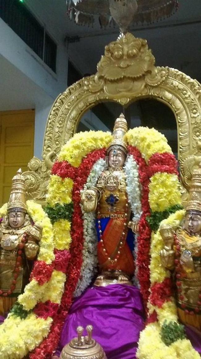 Mylapore SVDD Srinivasa Perumal Temple Iypasi Masa Pirappu Purappadu9