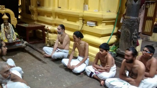 Mylapore SVDD Srinivasa Perumal Temple Peyazhwar Avathara Utsavam Commences14
