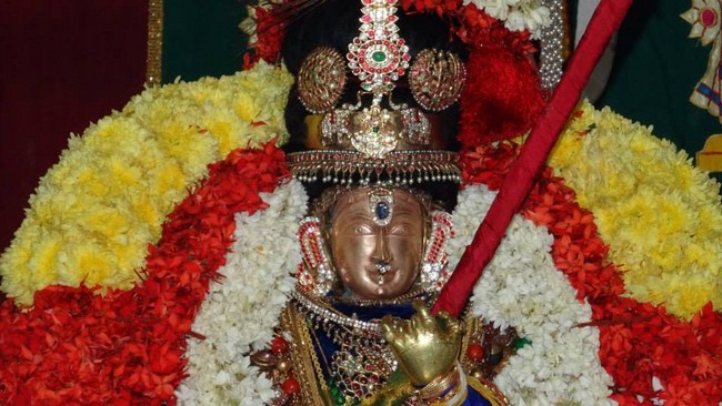 Mylapore SVDD Srinivasa Perumal Temple Peyazhwar Avathara Utsavam Commences17
