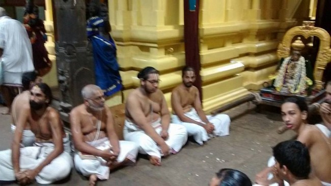 Mylapore SVDD Srinivasa Perumal Temple Peyazhwar Avathara Utsavam Commences8