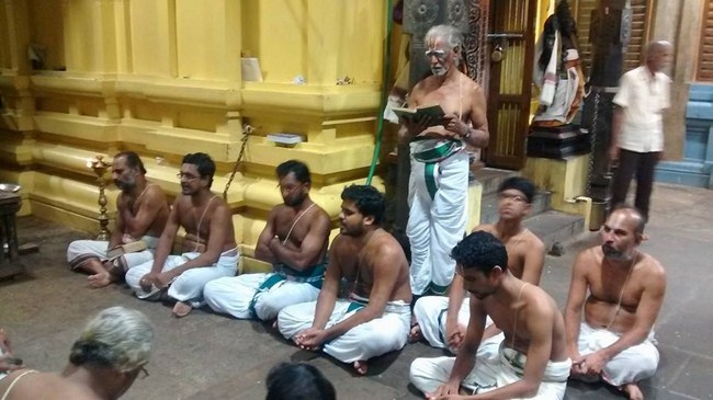 Mylapore SVDD Srinivasa Perumal Temple Peyazhwar Avathara Utsavam1