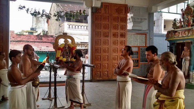 Mylapore SVDD Srinivasa Perumal Temple Peyazhwar Avathara Utsavam10