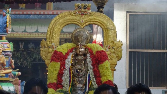 Mylapore SVDD Srinivasa Perumal Temple Peyazhwar Avathara Utsavam13