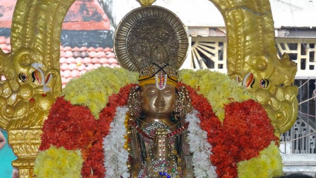 Mylapore SVDD Srinivasa Perumal Temple Peyazhwar Avathara Utsavam15