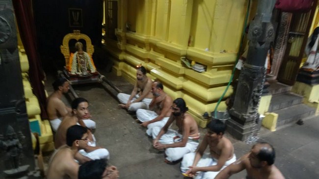 Mylapore SVDD Srinivasa Perumal Temple Peyazhwar Avathara Utsavam16