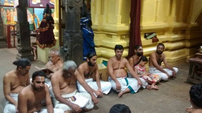 Mylapore SVDD Srinivasa Perumal Temple Peyazhwar Avathara Utsavam3