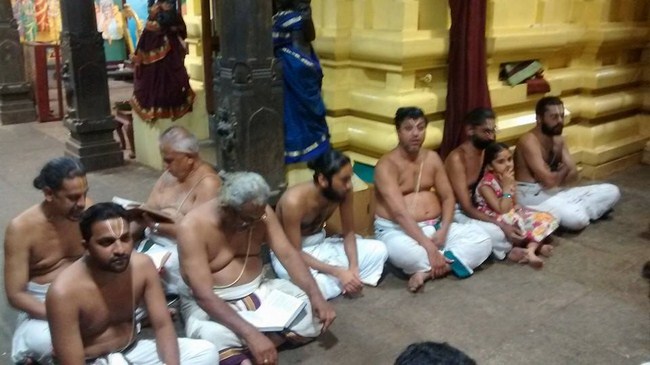 Mylapore SVDD Srinivasa Perumal Temple Peyazhwar Avathara Utsavam5