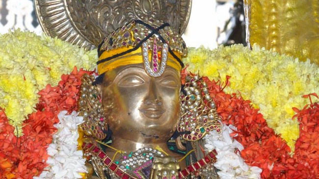 Mylapore SVDD Srinivasa Perumal Temple Peyazhwar Avathara Utsavam6